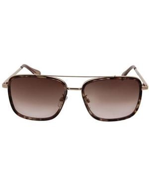 BCBGMAXAZRIA 58Mm Combo Aviator Sunglasses - Brown