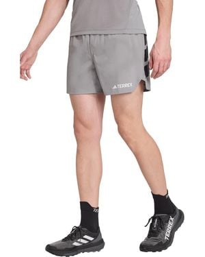 adidas Terrex Trail Shorts - Gray