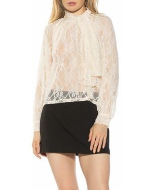 Alexia Admor Rae Lace Top With Neck Tie - Black