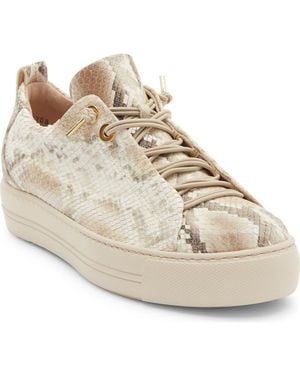 Paul Green Zena Platform Sneaker - White