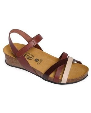 Plakton Lane Sandal - Brown