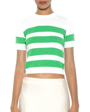 Alexia Admor Pat Stripe Short Sleeve Sweater Top - Green