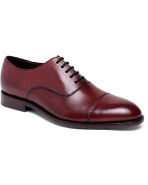 Anthony Veer Clinton Oxford - Purple