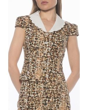 Alexia Admor Gulianna Scallop Collar Button-Up Top - Brown