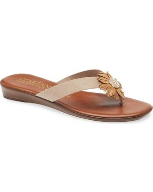 Italian Shoemakers Olaina Flower Sandal - Brown