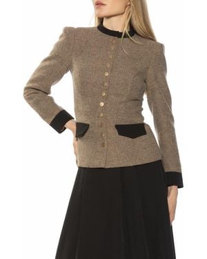 Alexia Admor Nox Blazer - Multicolor