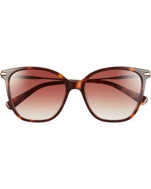 Longchamp 54Mm Cat Eye Gradient Sunglasses - Brown