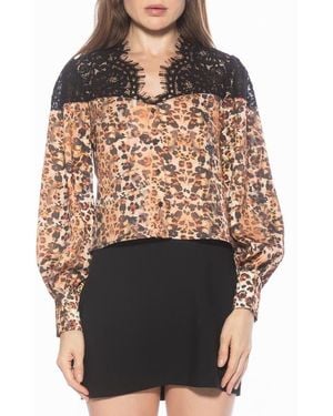Alexia Admor Bryne Lace Trim Top - Black