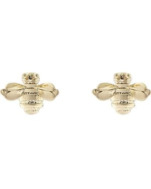 Ted Baker Beelii Bee Stud Earrings - Metallic