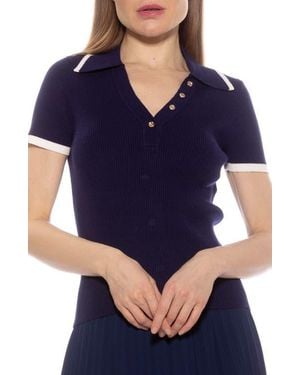 Alexia Admor Diara Knit Polo - Blue