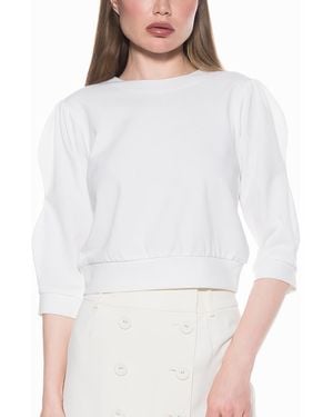 Alexia Admor Bebe Three-Quarter Sleeve Sweatshirt - White