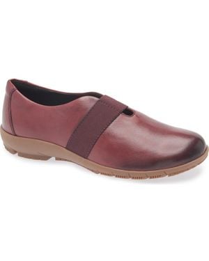 Romika Loire 03 Flat - Purple