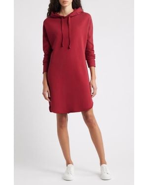 Frank & Eileen Mini James Hoodie Dress - Red