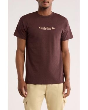Retrofit Renaissance Graphic T-Shirt - Brown