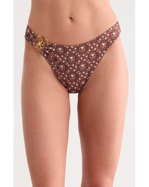 Dippin' Daisy's Dive - Multicolor