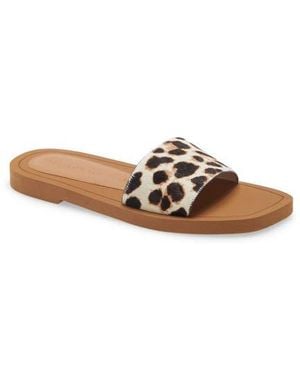 Stuart Weitzman Delilah Genuine Calf Hair Slide Sandal - Brown