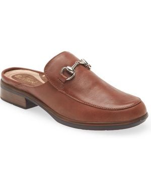 Naot Halny Mule - Brown