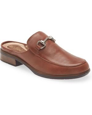 Naot Halny Mule - Brown