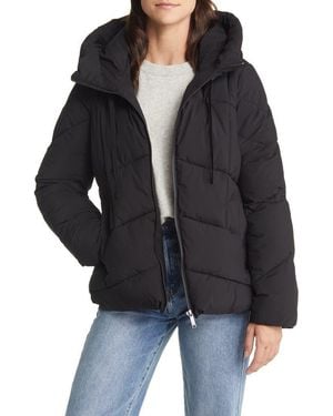 Sam Edelman Hooded Puffer Coat - Black