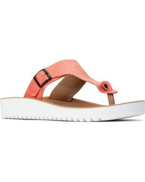 LOS CABOS Nine Thong Sandal - Pink