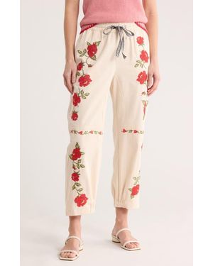 DR2 by Daniel Rainn Floral Cotton Pants - Multicolor