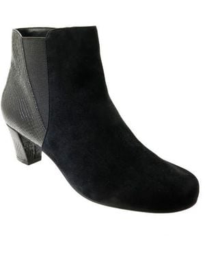 David Tate Marconi Bootie - Black