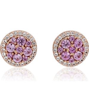 Suzy Levian Cluster Halo Stud Earrings - Pink