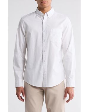 14th & Union Cotton Oxford Button-Down Shirt - White