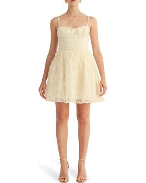 Arose Studio Love Bustier Fit & Flare Dress - Natural