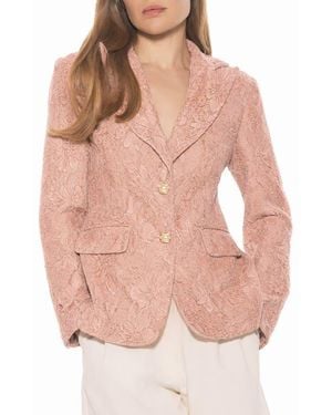 Alexia Admor Nyx Lace Blazer - Pink