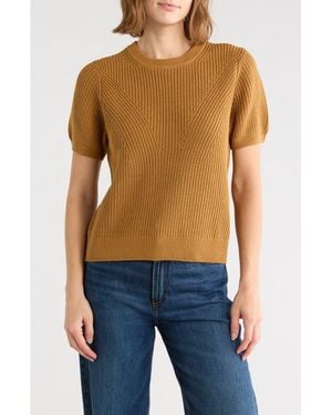 Adrianna Papell Ribbed Crewneck Short Sleeve Sweater - Brown