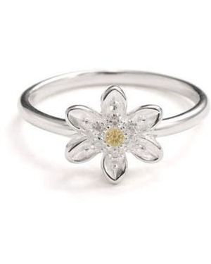 Best Silver Cubic Zirconia Daisy Ring - Multicolor