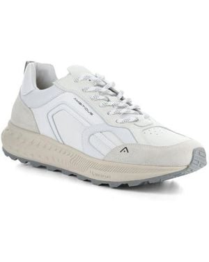 Ambitious 13393 Sneaker - White