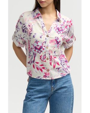 NVLT Short Sleeve Crop Button-Up Shirt - Gray