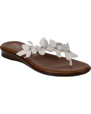 Italian Shoemakers Xolani Floral Flip Flop - Brown