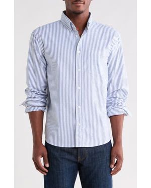 Denim and Flower Stripe Stretch Cotton Long Sleeve Button-Down Shirt - Blue