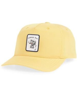 Swannies Fade Snapback Cap - Metallic