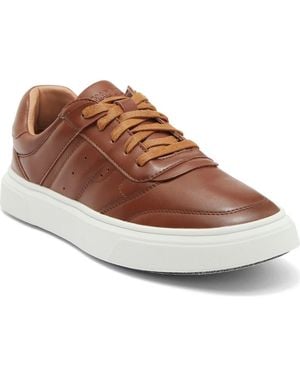 Madden Krastin Sneaker - Brown