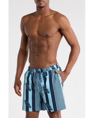 Rainforest Turtle Seersucker Swim Trunks - Blue
