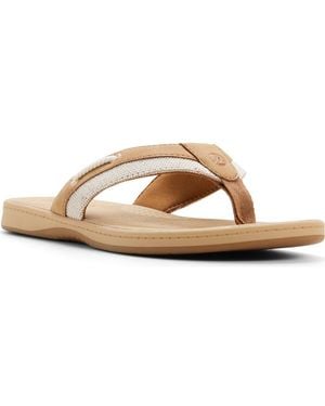 Sperry Top-Sider Sealfish Flip Flop - Brown