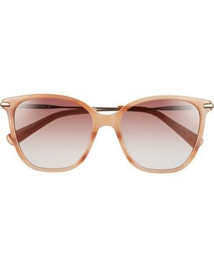 Longchamp 54Mm Cat Eye Gradient Sunglasses - Brown
