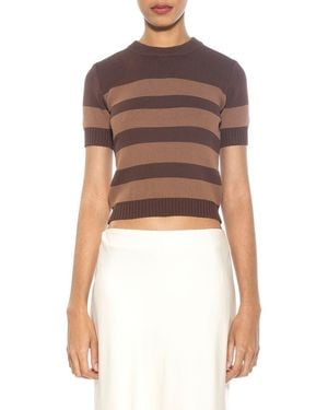 Alexia Admor Pat Stripe Short Sleeve Sweater Top - Brown