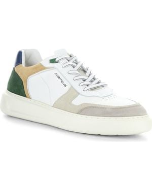 Ambitious 13449 Low Top Sneaker - White
