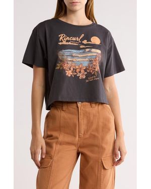 Rip Curl Wave Gliders Logo Crop T-Shirt - Black