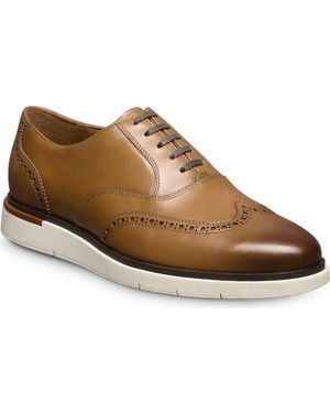 Allen Edmonds Carson Hybrid Wingtip Oxford - Brown