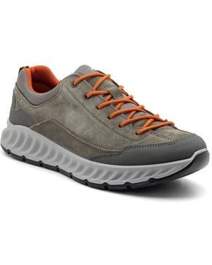 Ara Prague Sneaker - Brown