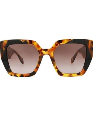 Just Cavalli 53Mm Square Sunglasses - Brown