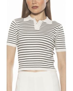 Alexia Admor Elani Knit Polo - Gray
