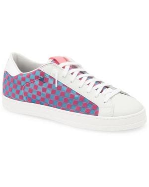 P448 John Checkered Sneaker - Multicolor