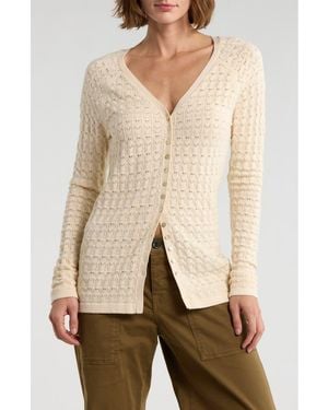 Sanctuary Pointelle Stitch Raglan Sleeve Cardigan - Natural